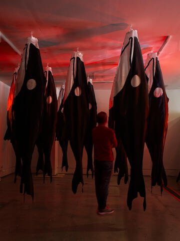The Silence of the Whales, Fabric,12'x12'x12', 2026